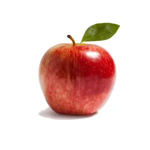Fruits